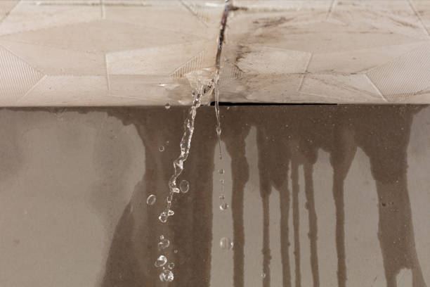 Professional Structural Drying technician working in Tazewell, VA